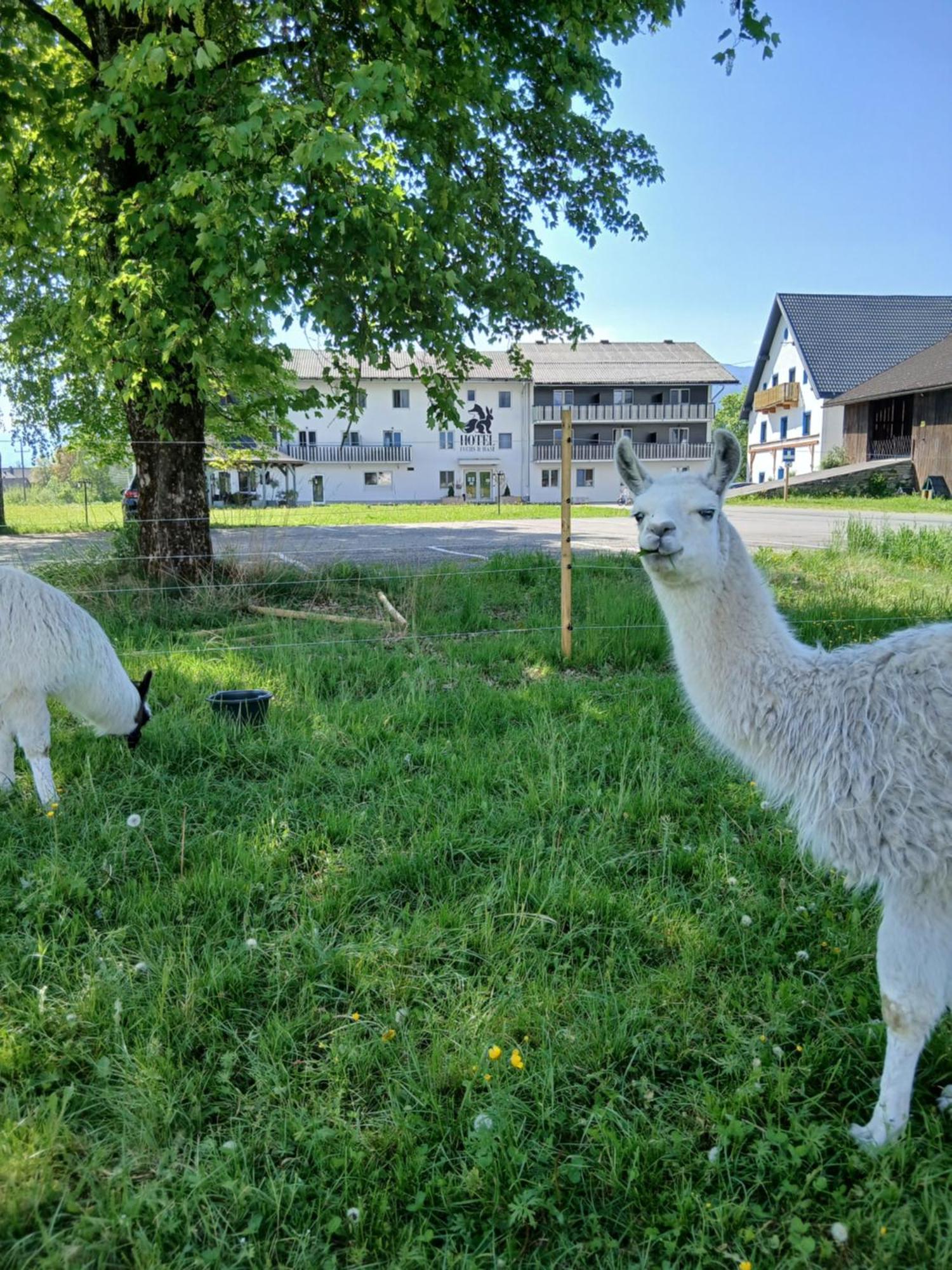 Hotel Fuchs & Hase Self Check In Rosegg Kültér fotó